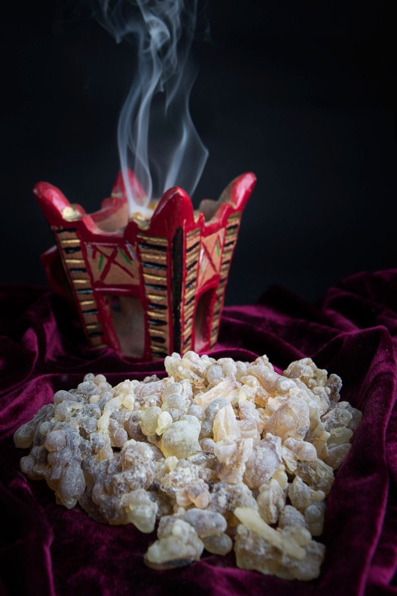 omanspire's tweet image. In pictures, A proud milestone for Oman 🇴🇲 — Omani frankincense is now internationally registered as a Geographical Indication with World Intellectual Property Organization.
A global recognition of a timeless treasure rooted in heritage, identity, and authentic trade 🌿
#Oman