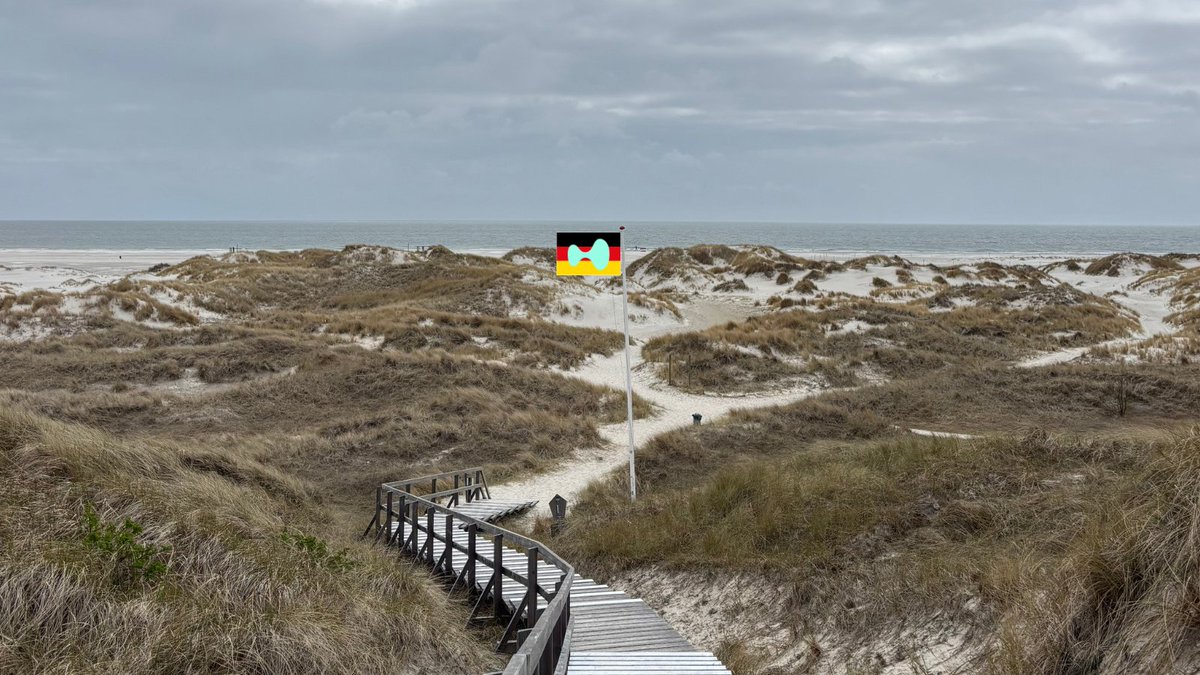 Tobias Reisner tweet media