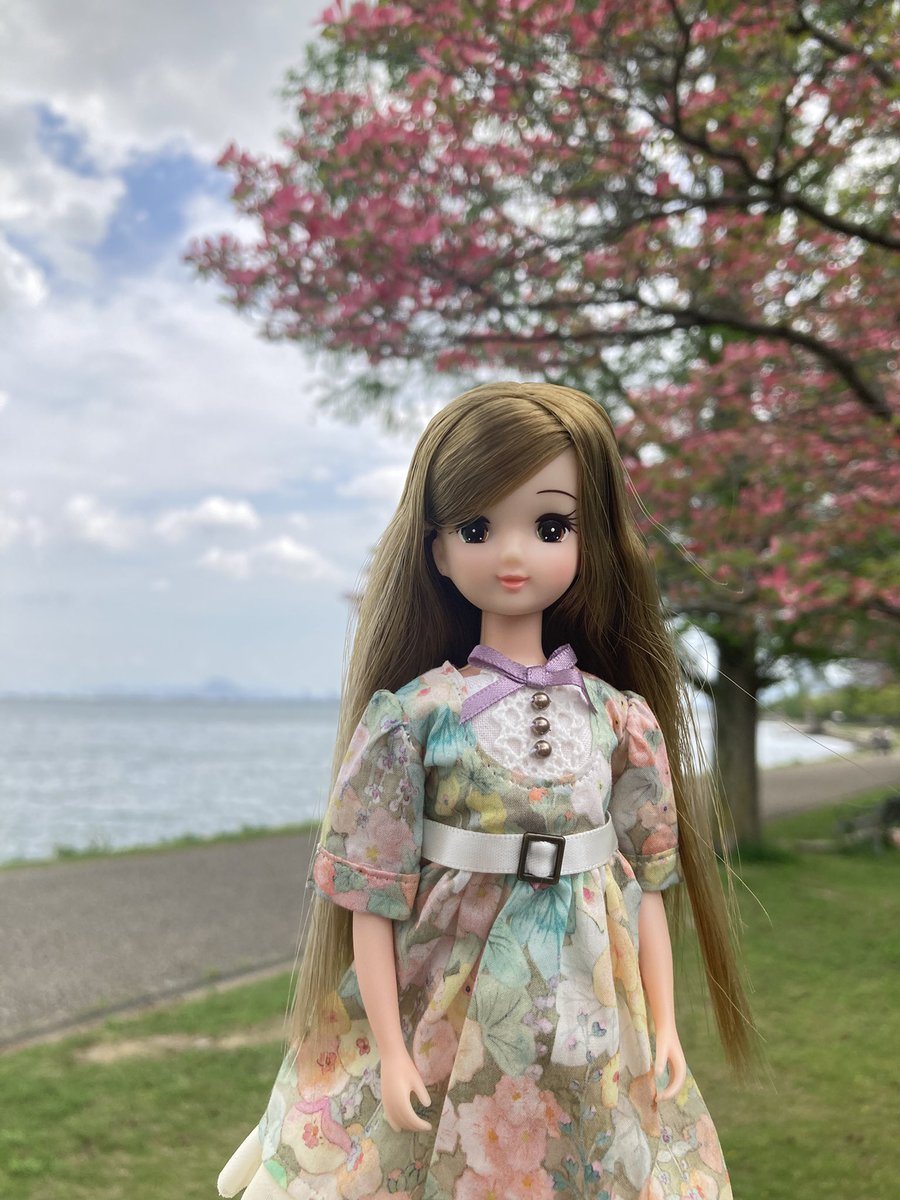 もろこし tweet media