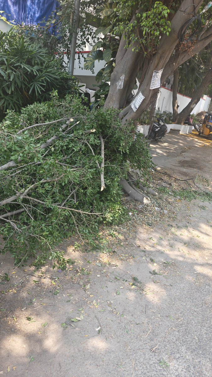 G_T_84's tweet photo. @tgspdcl @AE_OP_FILMNAGAR Branches cut for power lines in road no 80, Jubilee hills and left on the roadside in front of the house.  Please get these cleared immediately https://t.co/DDbBUDJl2t