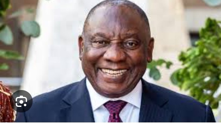 Nolwazi Nkomo tweet media