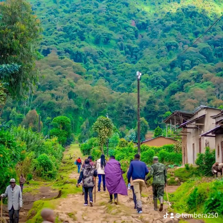 _Toussaint_3's tweet image. It's not just my home, is the place everyone visit and feel at Home. 

Hello from Northern region of Rwanda. 

Have nice day dear supporters 
#traveltips
#Rwot 
#Rwanda