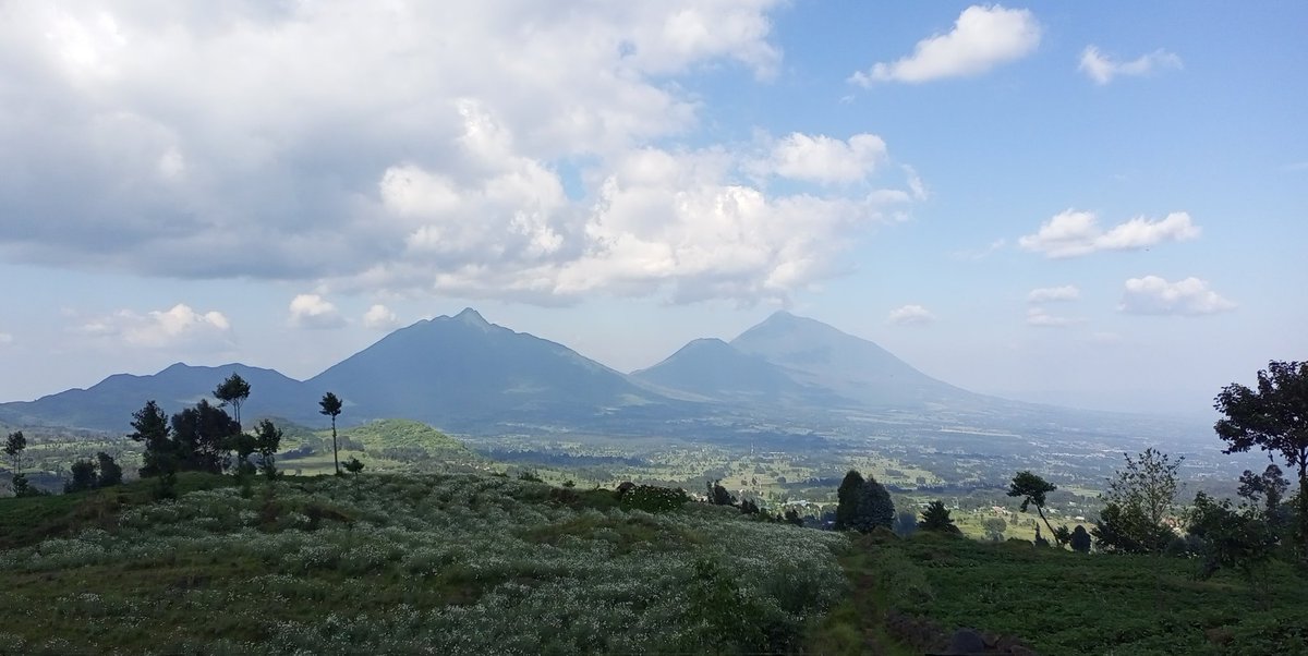 _Toussaint_3's tweet image. It's not just my home, is the place everyone visit and feel at Home. 

Hello from Northern region of Rwanda. 

Have nice day dear supporters 
#traveltips
#Rwot 
#Rwanda