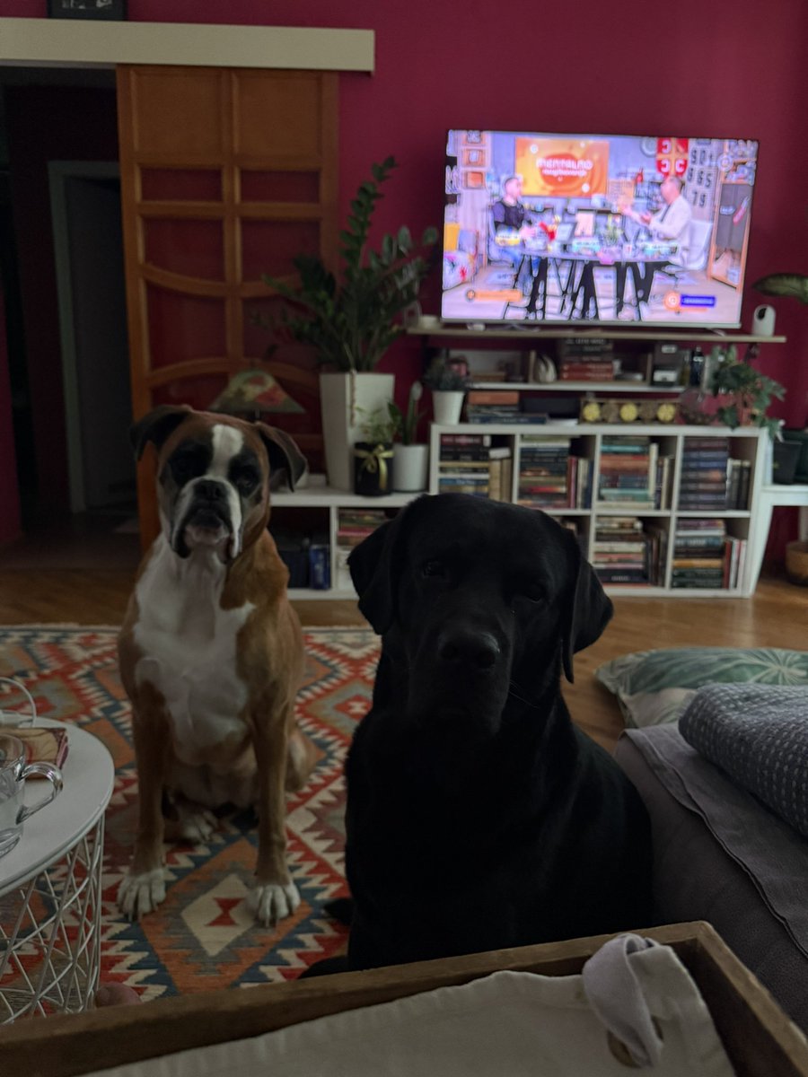 Mother of Dragons tweet media