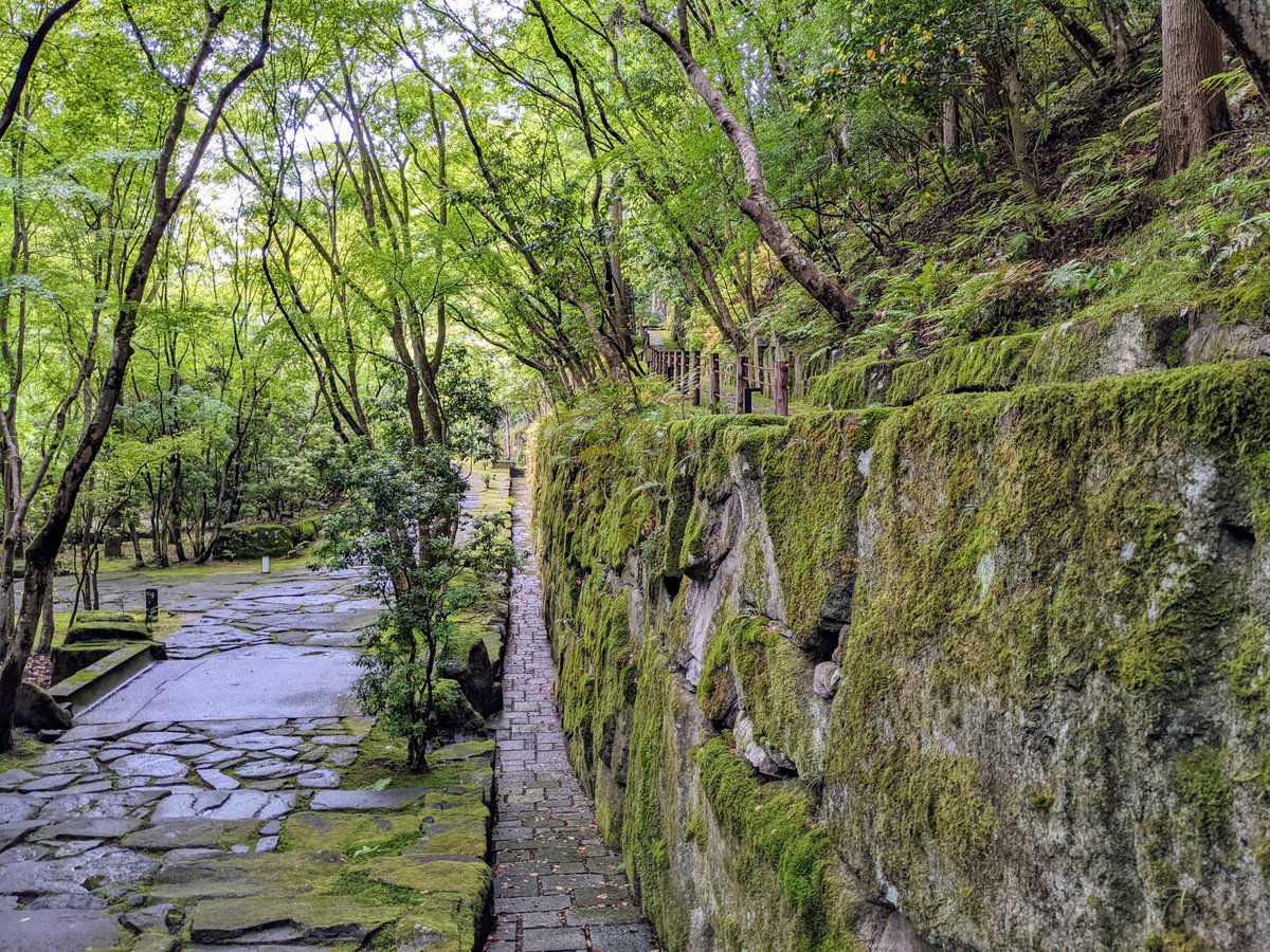 camelliakyoto's tweet image. the moss-covered path
to the old temple
gone, no trace...
night after night
only the moon may enter

古寺の
こけぢはあとも
なかりけり
よなよなごとに
月はとへども

-Ōtagaki Rengetsu (太田垣蓮月 1791-1875).
#Kyoto #京都 #moss #Japan #AmanKyoto #アマン京都