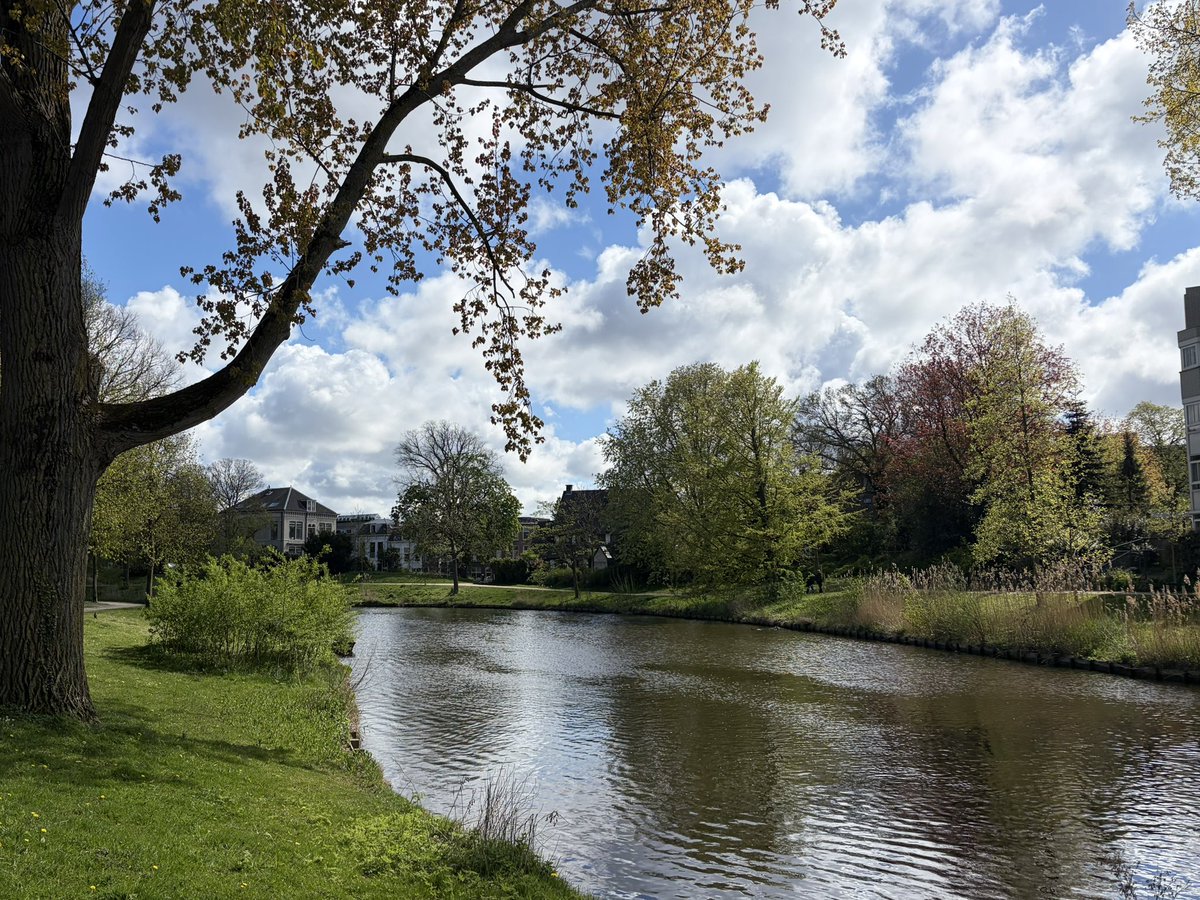 i hope your week starts well <3 here are some pictures from my walk yesterday