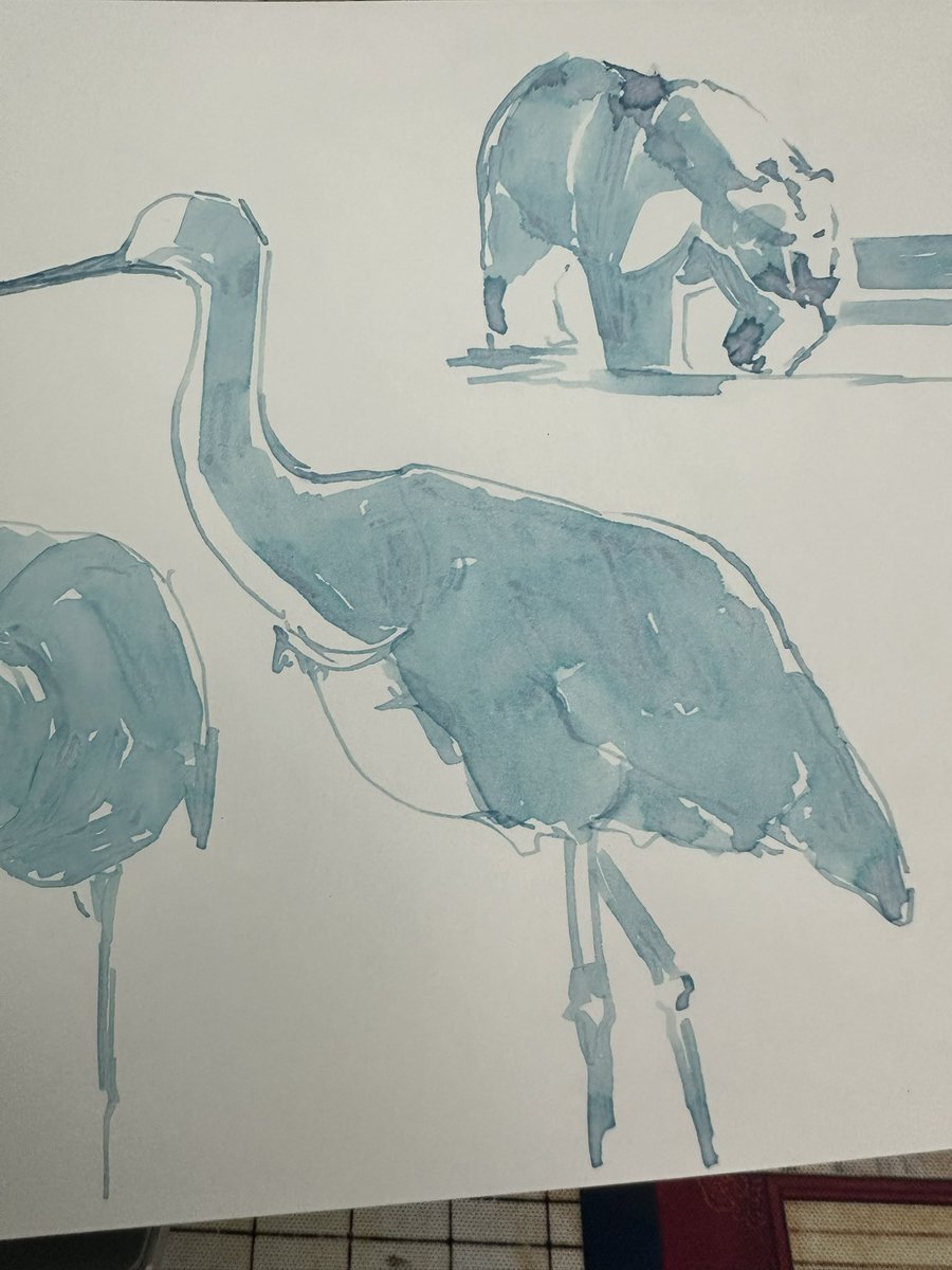 8NI_art8's tweet image. #만년필 #ink #drawingsㅤㅤ