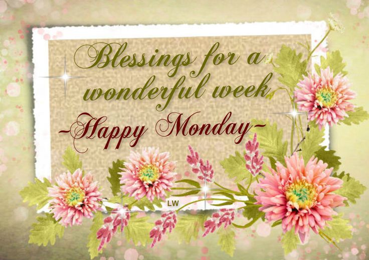 wat3851's tweet photo. @JohnCosta129733 https://t.co/dRThVl614s