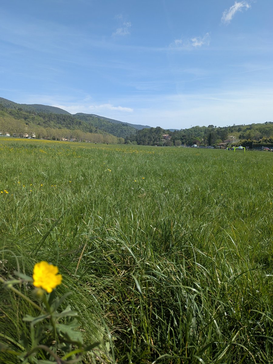 LevensTourisme's tweet photo. Escapade au Grand Pré : une bouffée d’air pur au cœur de la nature. 
Le Grand Pré est l’endroit idéal pour une parenthèse régénérante.
#TourismeLocal #Nature #Escapade #Découverte #GrandPré @ExploreNCA  @LevensTourisme @VilleLevens  #ExploreNiceCotedAzur #moyenpaysniçois https://t.co/zcfrZjqUNT