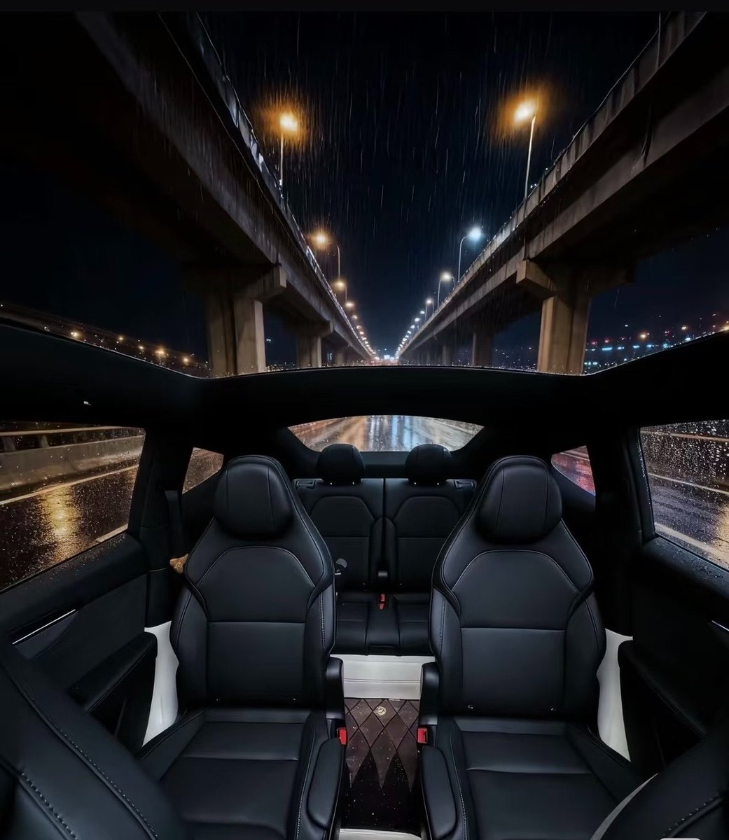 Tsla Chan tweet media