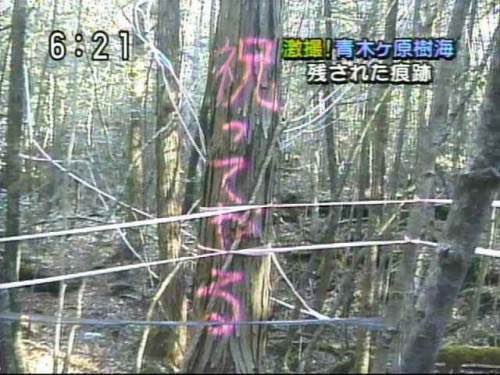 (^∀^ナナト) tweet media