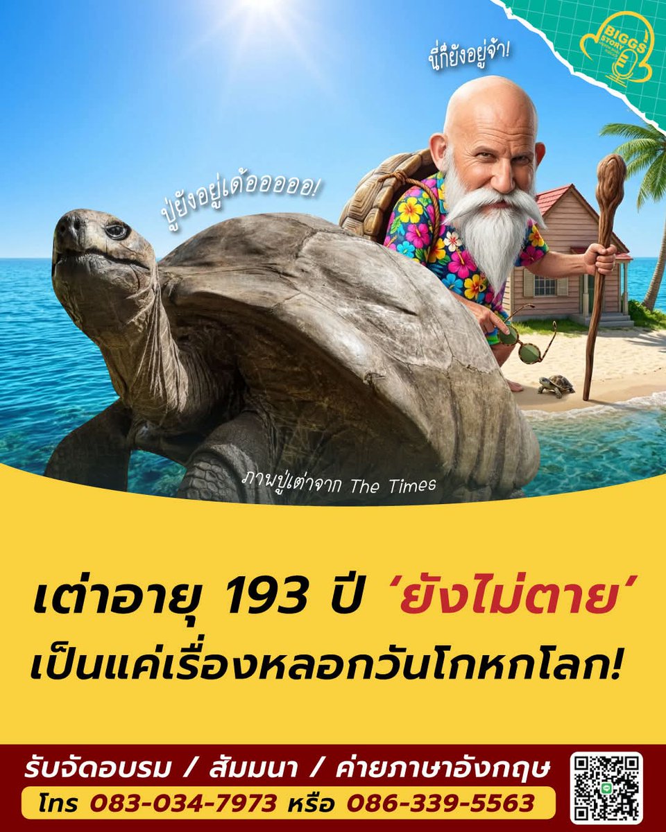 Andrew Biggs tweet media