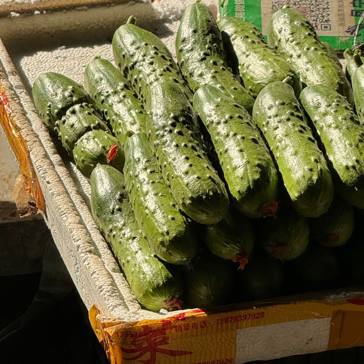 michaela healey tweet media