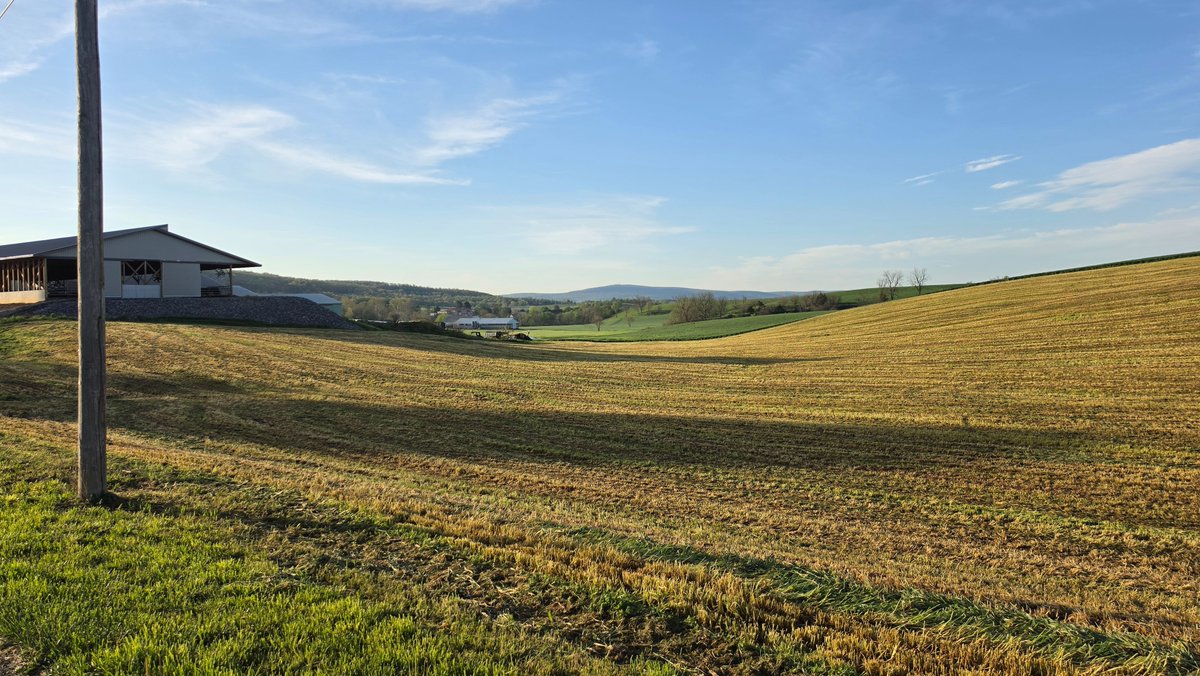 The Fembot Guy tweet media