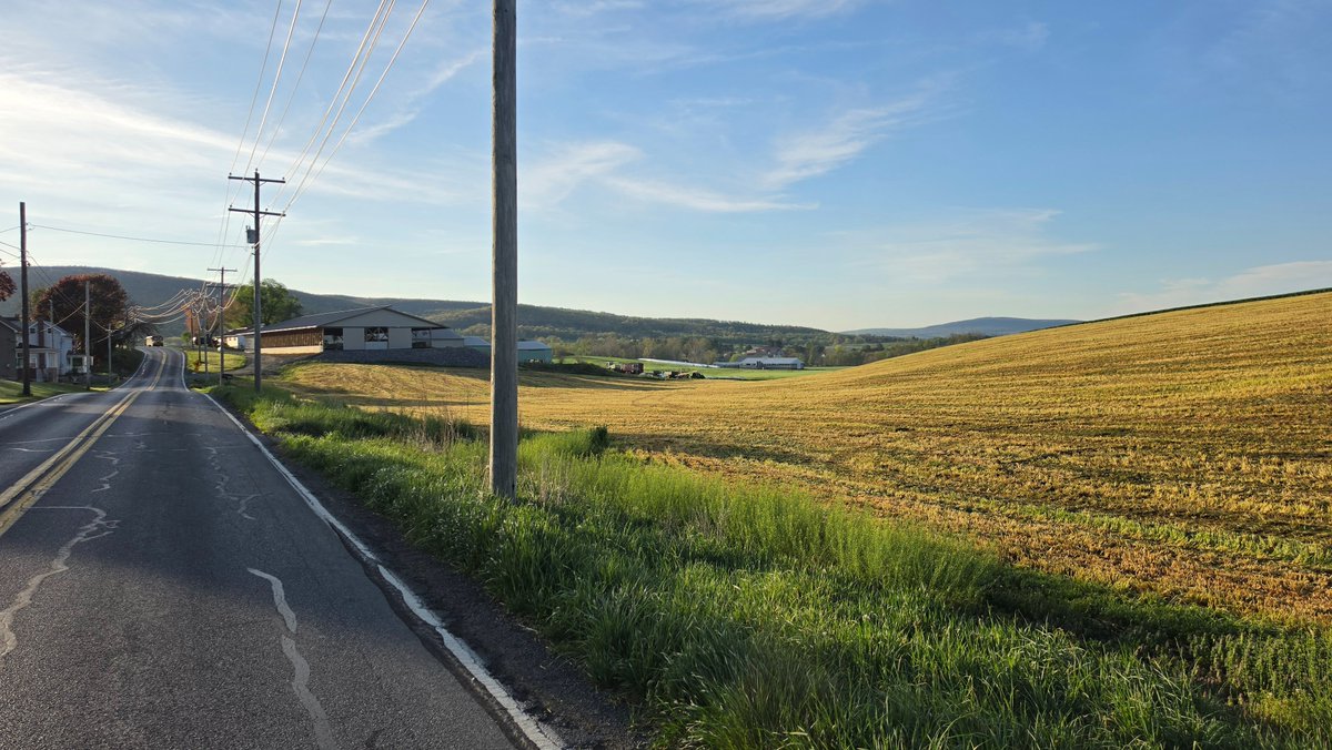 The Fembot Guy tweet media