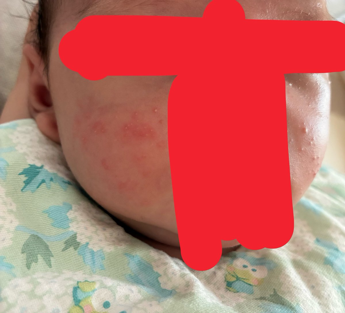 あさ☺︎🦕1m tweet media