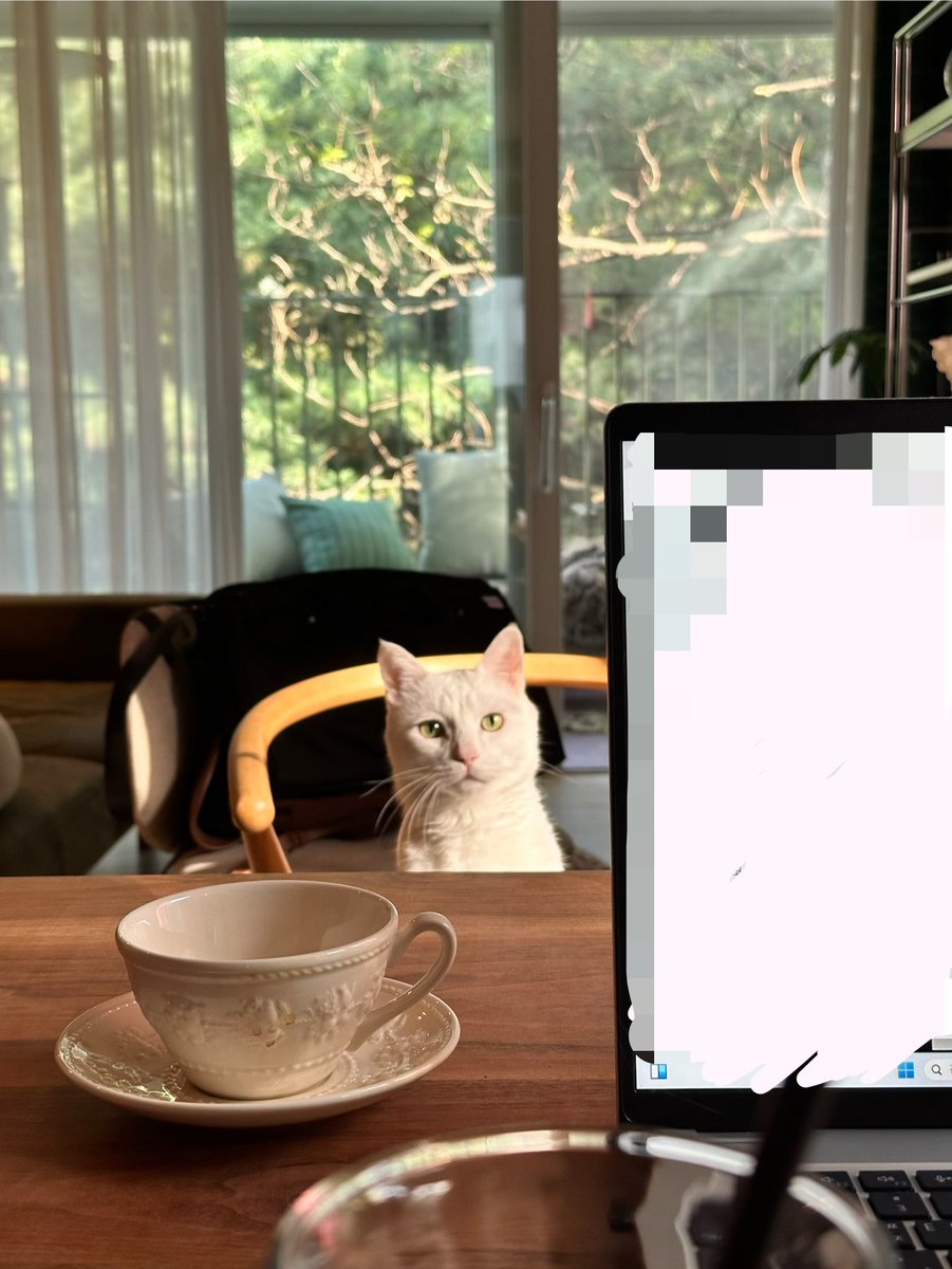 cherryland tweet media