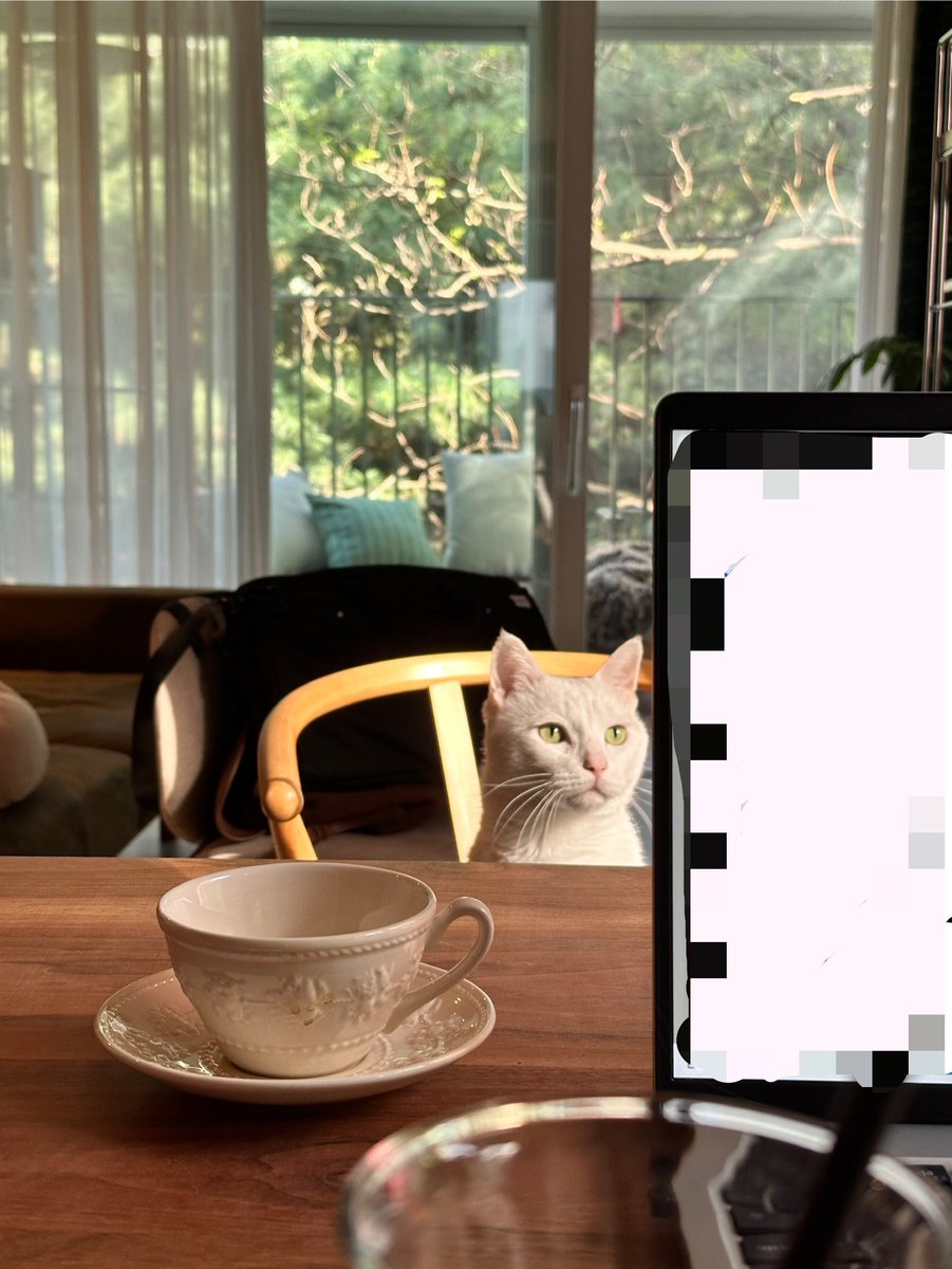 cherryland tweet media