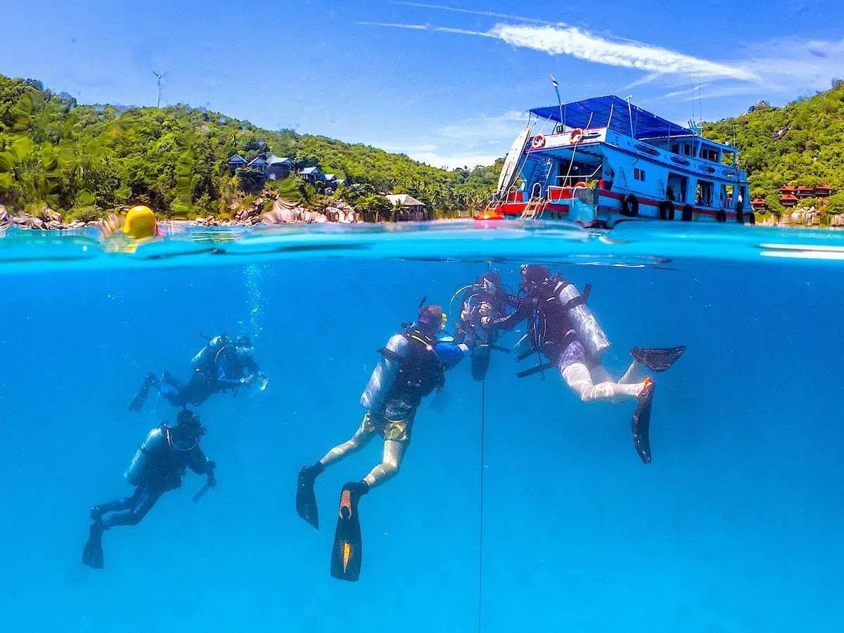 GoProIDCKohTao's tweet image. Our Dive Instructor specialty course allows you to teach a structured program over 1 dive to orientate and educate your student divers about boat diving. idckohtao.com #Thailand #professional #Boat #Instructor #PADI #KohTao #Speciality #Educate #Program