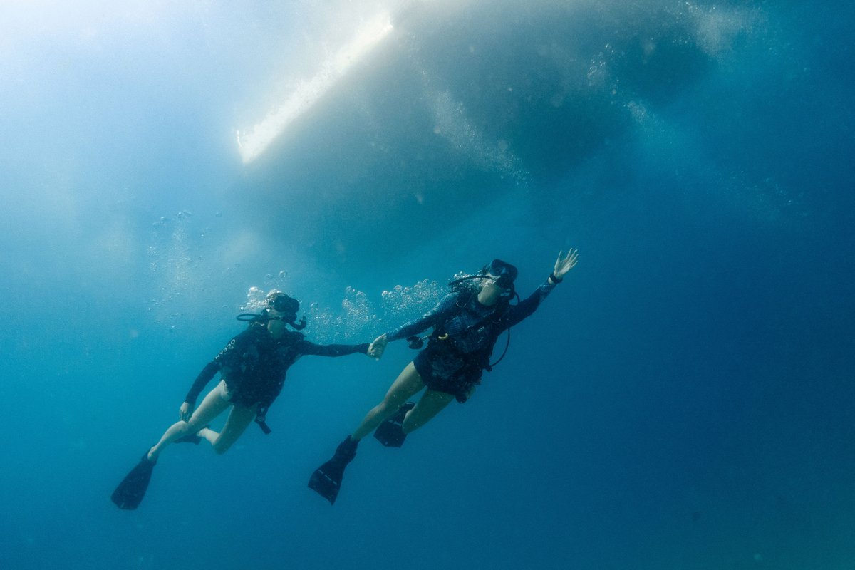 GoProIDCKohTao's tweet image. Our Dive Instructor specialty course allows you to teach a structured program over 1 dive to orientate and educate your student divers about boat diving. idckohtao.com #Thailand #professional #Boat #Instructor #PADI #KohTao #Speciality #Educate #Program