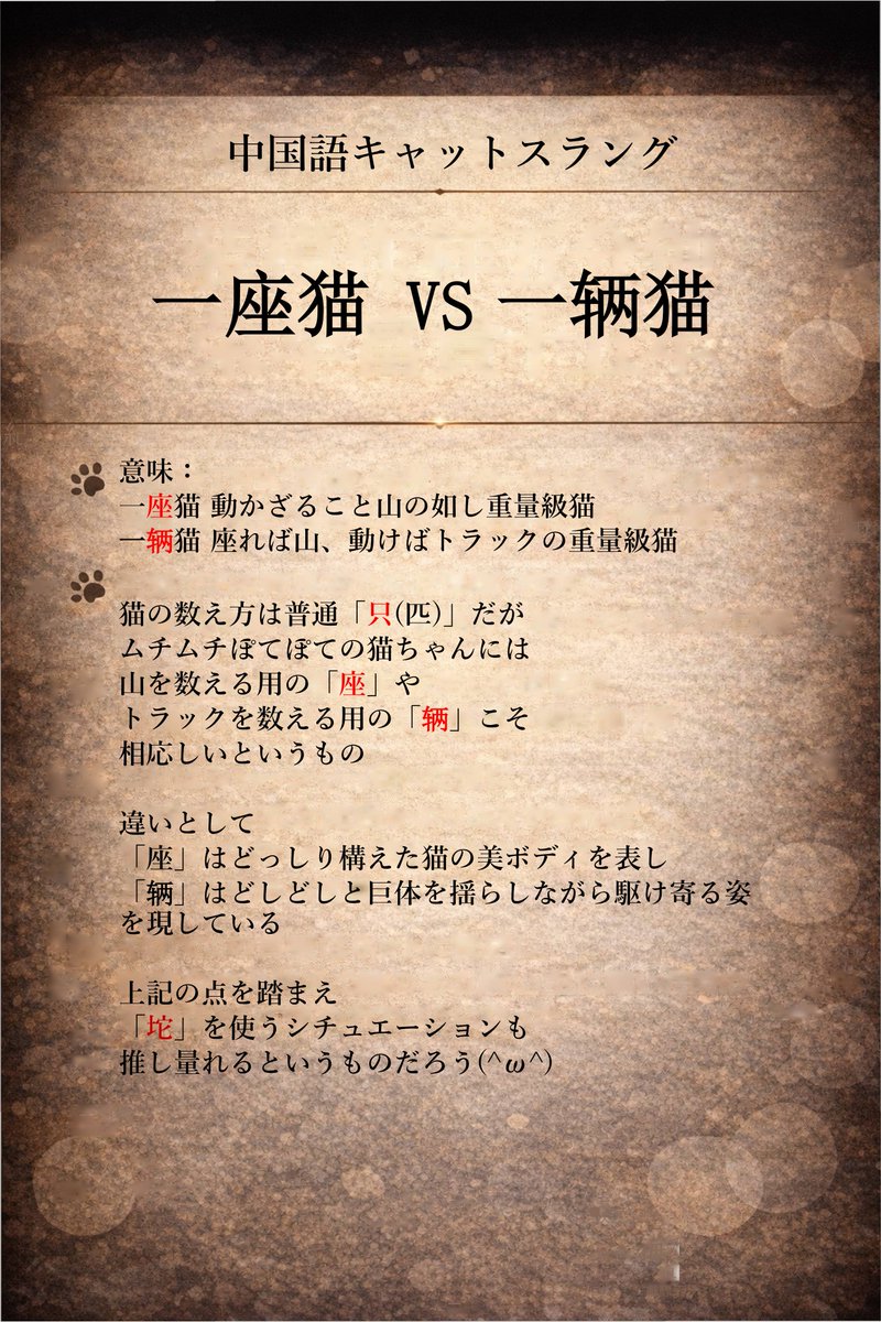 白伊（はく い）🐈‍⬛声優・翻訳者っす！ tweet media