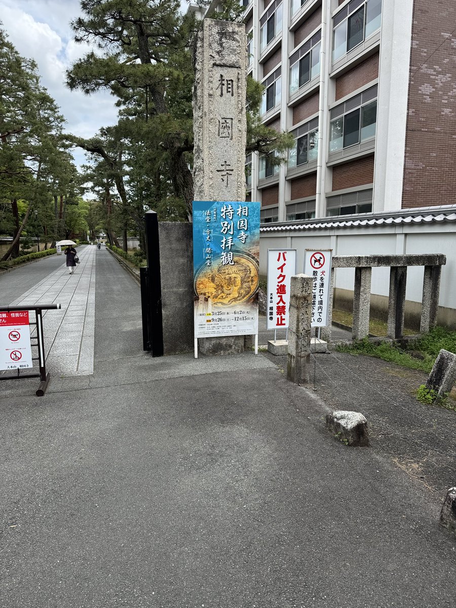 ふまんじゅう2nd🐟🐯 tweet media