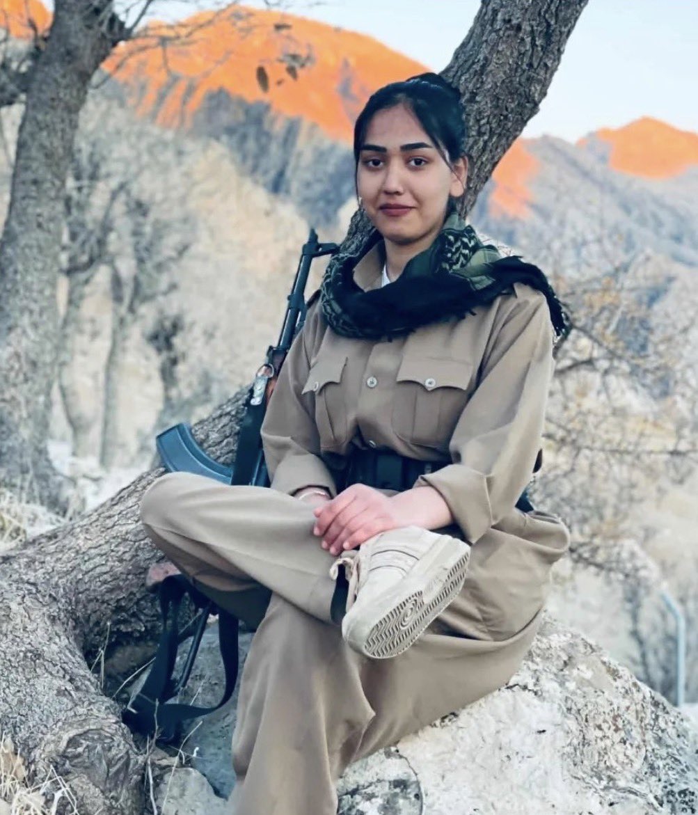سلطنت‌طلب فریاد می‌زند: «مرگ بر چپ‌ها، تجزیه‌طلب‌ها (که در واقع منظورشان کردهاست)، و مجاهدین»

و ج.ا. به این فراخوان‌ها پاسخ می‌دهد.

در عرض ۳ هفته، ۸ عضو مجاهدین اعدام شده‌اند. همزمان، اپوزیسیون کرد بمباران می‌شود و اعضای آن‌ها به شهادت رسیدند.