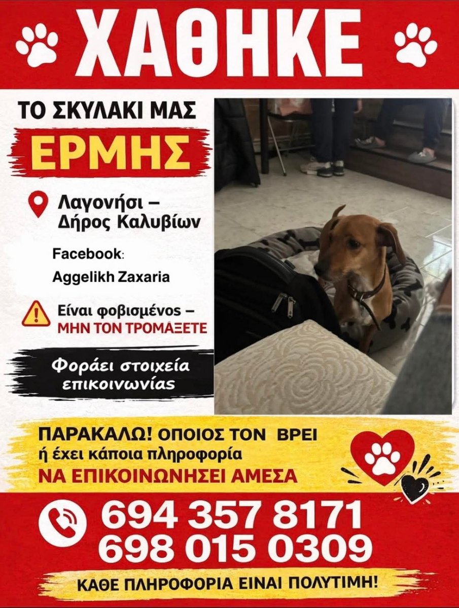 Χλε_Μπονα Σαμερ tweet media