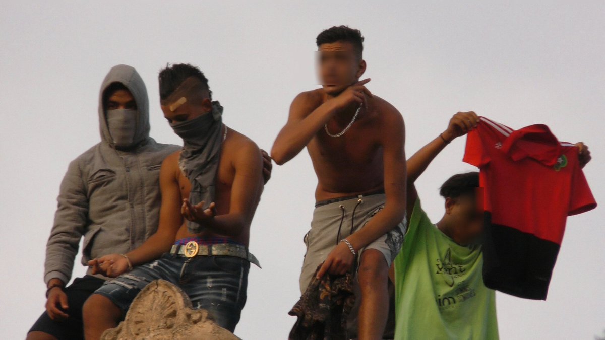 Desperteu-vos! tweet media