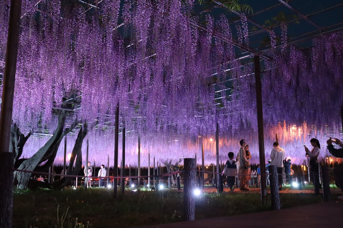 東海愛知新聞　記者 tweet media