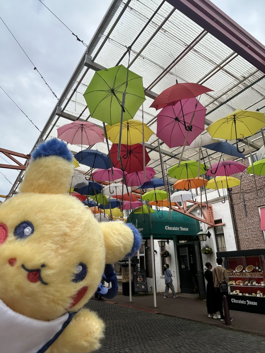 marumaruyama96's tweet photo. 久しぶりのおでかけ写真🌷🌷🌷

ダイナーちゃん達を連れて行きました🌸 https://t.co/czbiqtyMR8