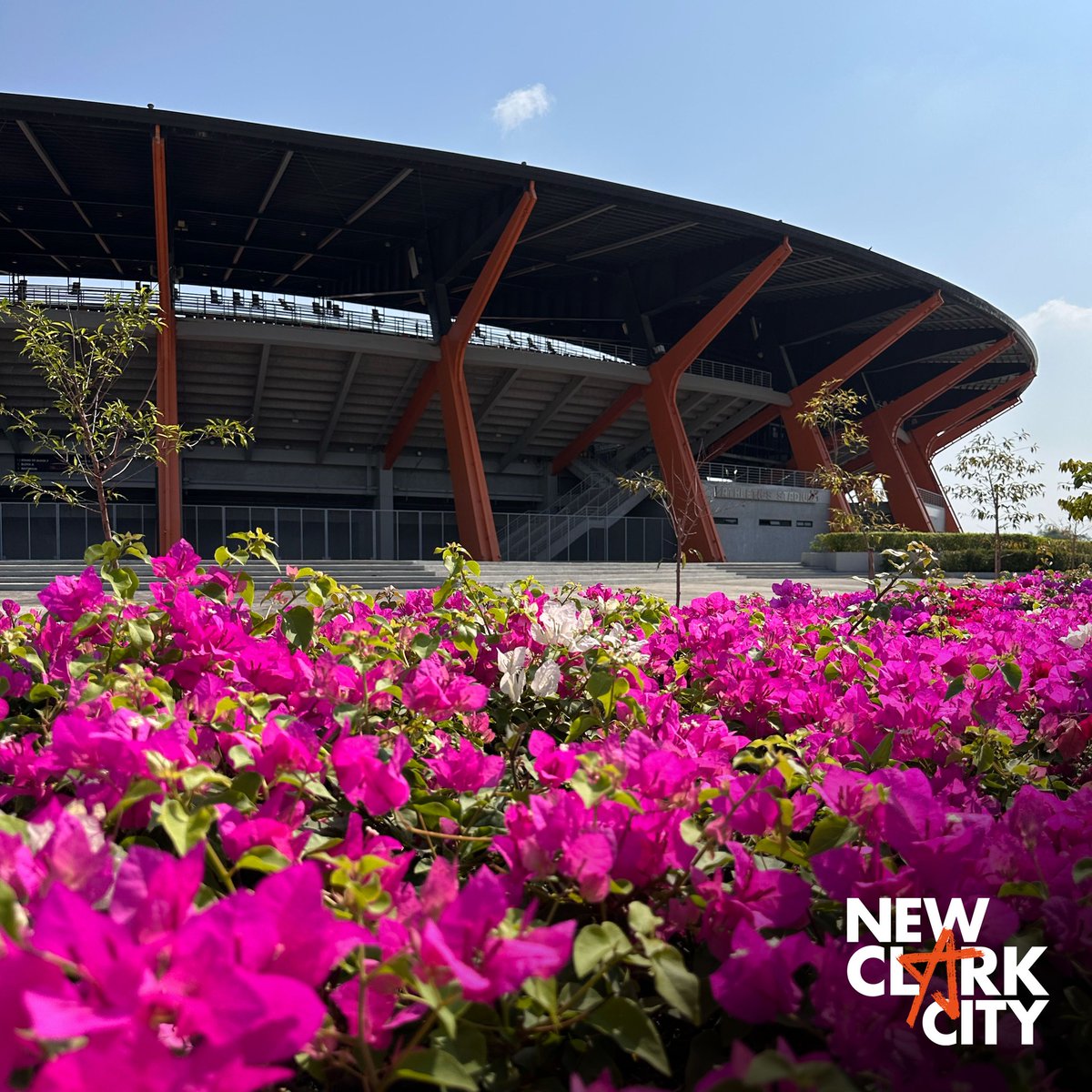 NewClarkCity's tweet photo. Fresh colors are taking over #NewClarkCity

The grounds are officially in full summer bloom as the flowers across  reach their peak. Whether you’re here for a morning jog or a weekend stroll, the vibrant petals make every corner look like a painting.

What’s your favorite spot? https://t.co/enWcmd7IxJ