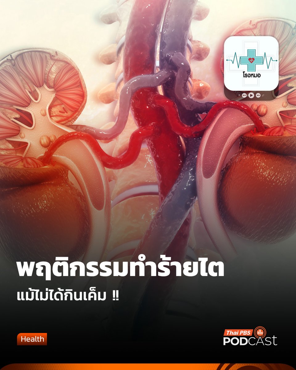 ThaiPBS Podcast tweet media