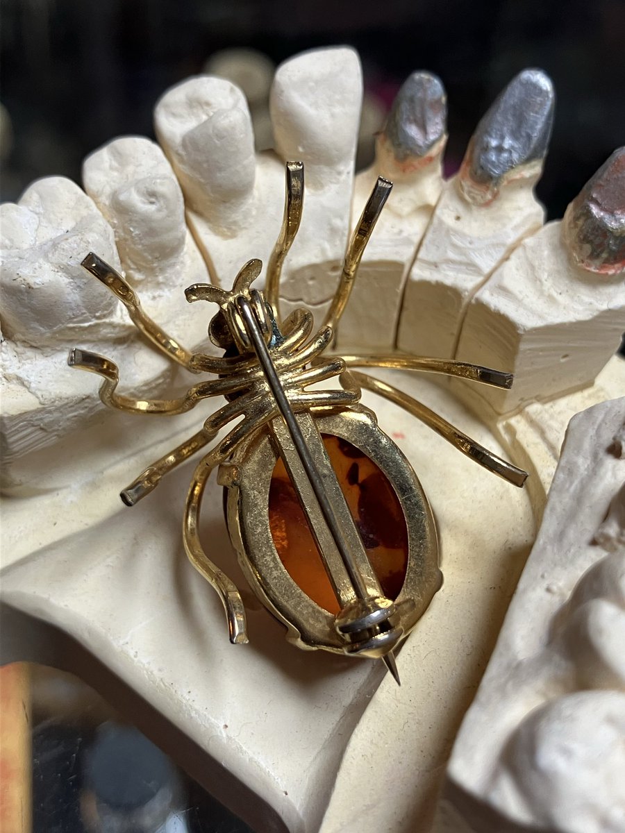 hakuchuum_osaka's tweet image. ブローチ
蜘蛛のブローチです。
3.5cm
5000円です。
通販ご希望の方はDMください。

#蜘蛛
#spider