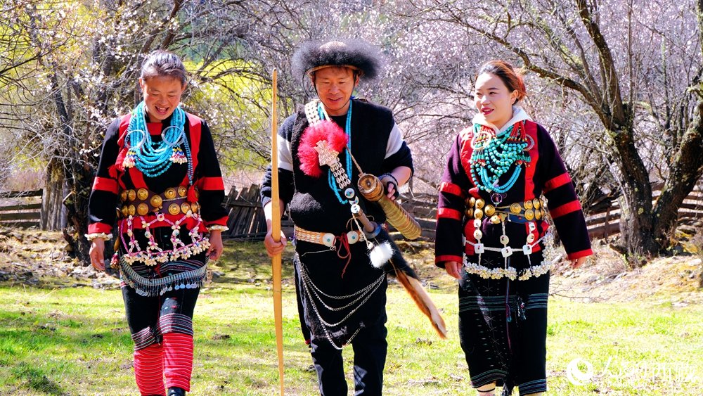 tibet_online's tweet image. At Nyingchi's peach blossom festival, traditional Lhoba costumes have become a major highlight. Against seas of pink flowers in Milin, locals in heritage dress showcase centuries-old craftsmanship while adding fresh energy to Xizang's growing peach blossom economy. #Xizang #China