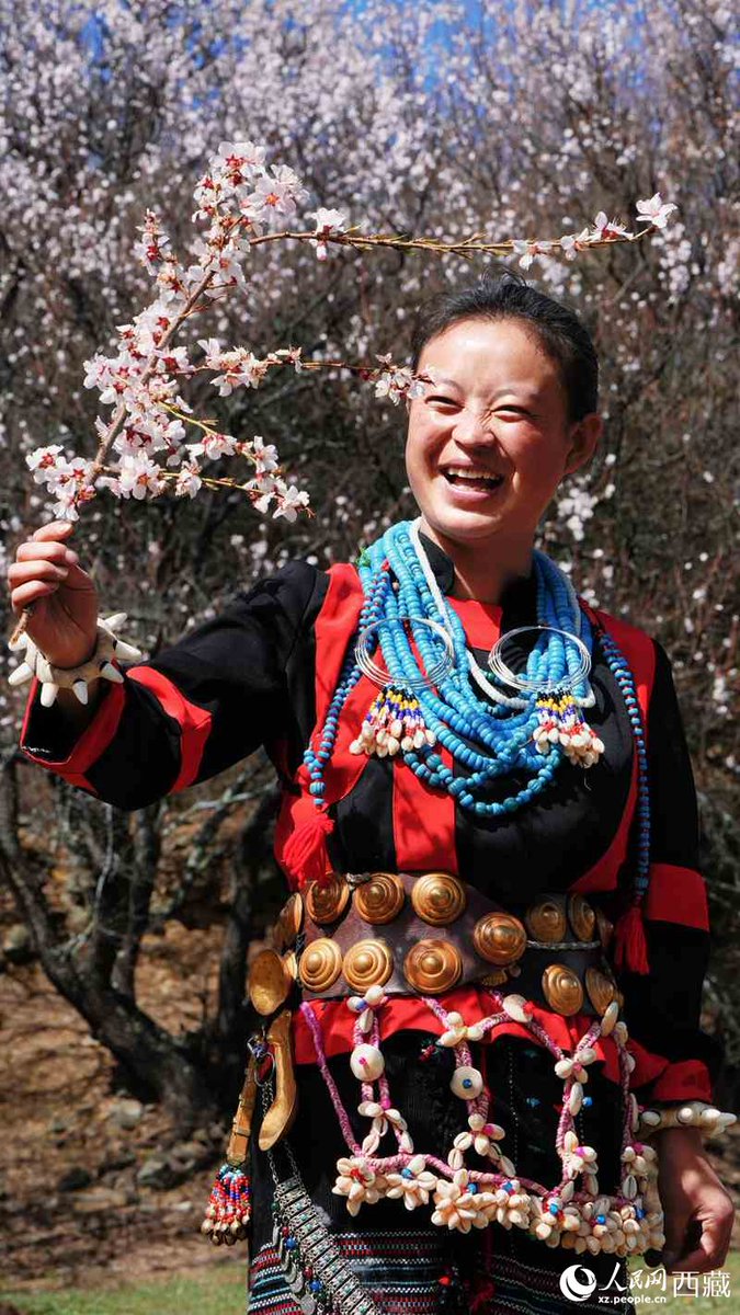 tibet_online's tweet image. At Nyingchi's peach blossom festival, traditional Lhoba costumes have become a major highlight. Against seas of pink flowers in Milin, locals in heritage dress showcase centuries-old craftsmanship while adding fresh energy to Xizang's growing peach blossom economy. #Xizang #China