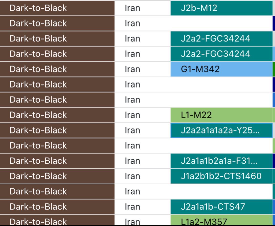 ابو عبدالرحمن #Netherland #Canada #Eritrea tweet media
