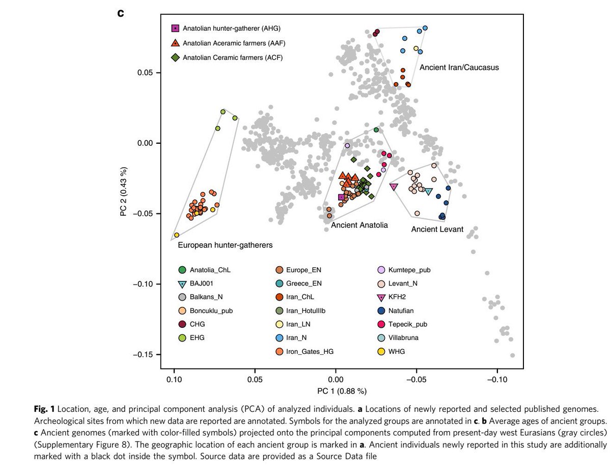 ابو عبدالرحمن #Netherland #Canada #Eritrea tweet media