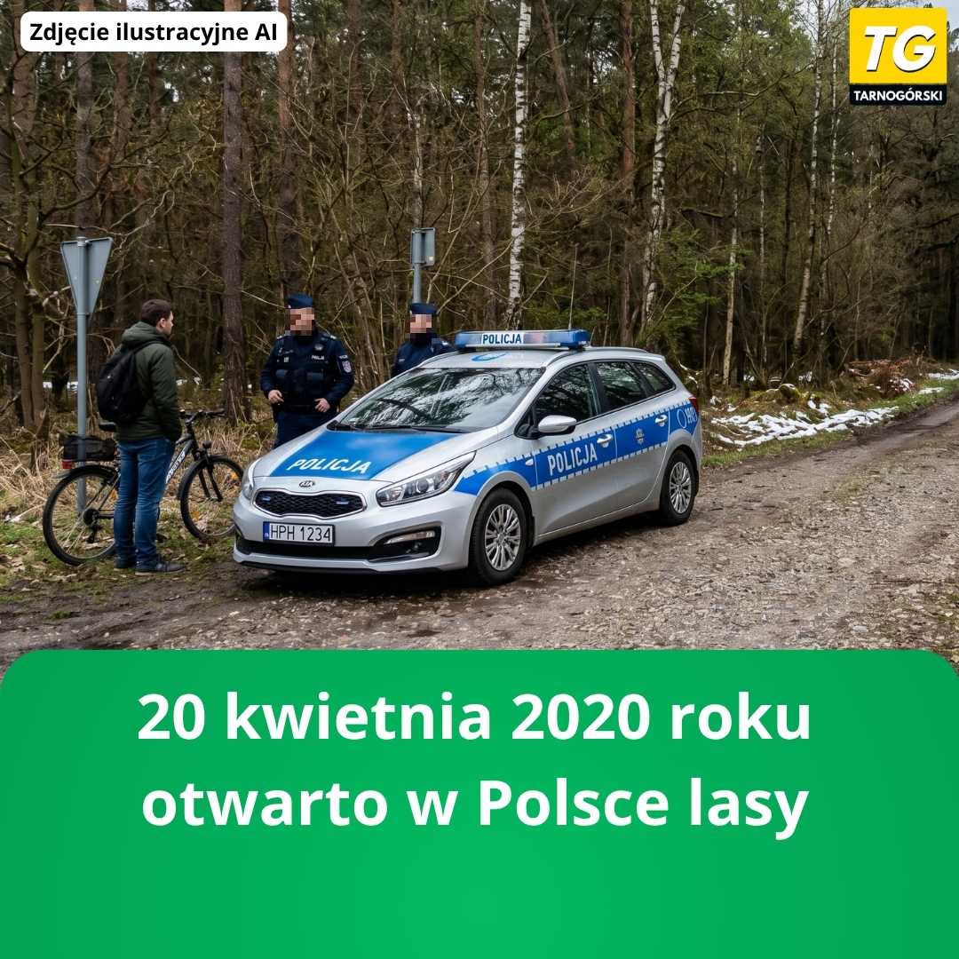 tarnogorski.info tweet media