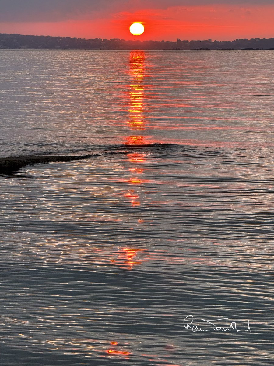 ReneTombarel's tweet image. Les images du jour à l’heure du lever du soleil #cannes #CotedAzurFrance @Cannes_France @villecannes