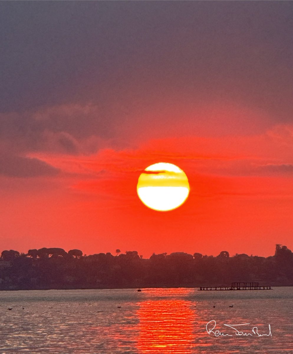 ReneTombarel's tweet image. Les images du jour à l’heure du lever du soleil #cannes #CotedAzurFrance @Cannes_France @villecannes