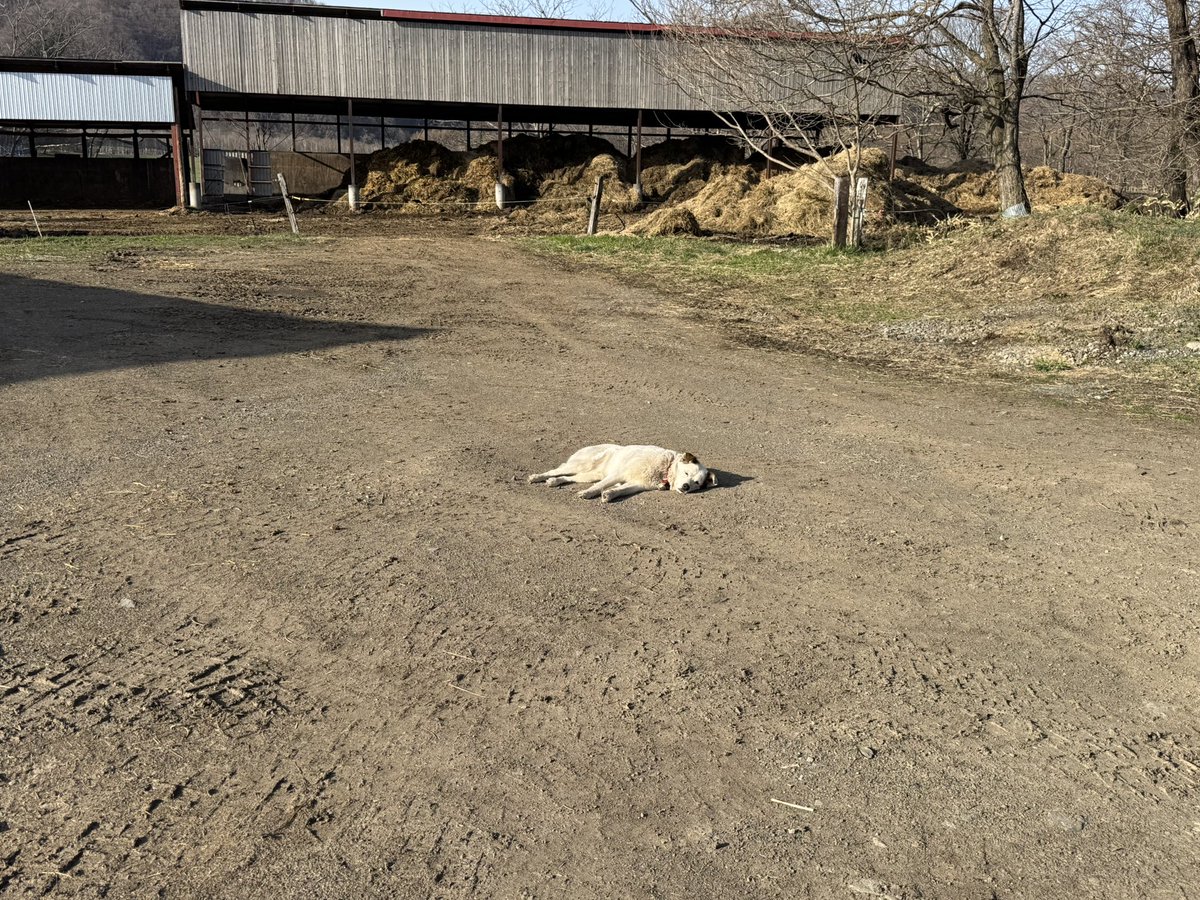 ゼンキュウファーム tweet media