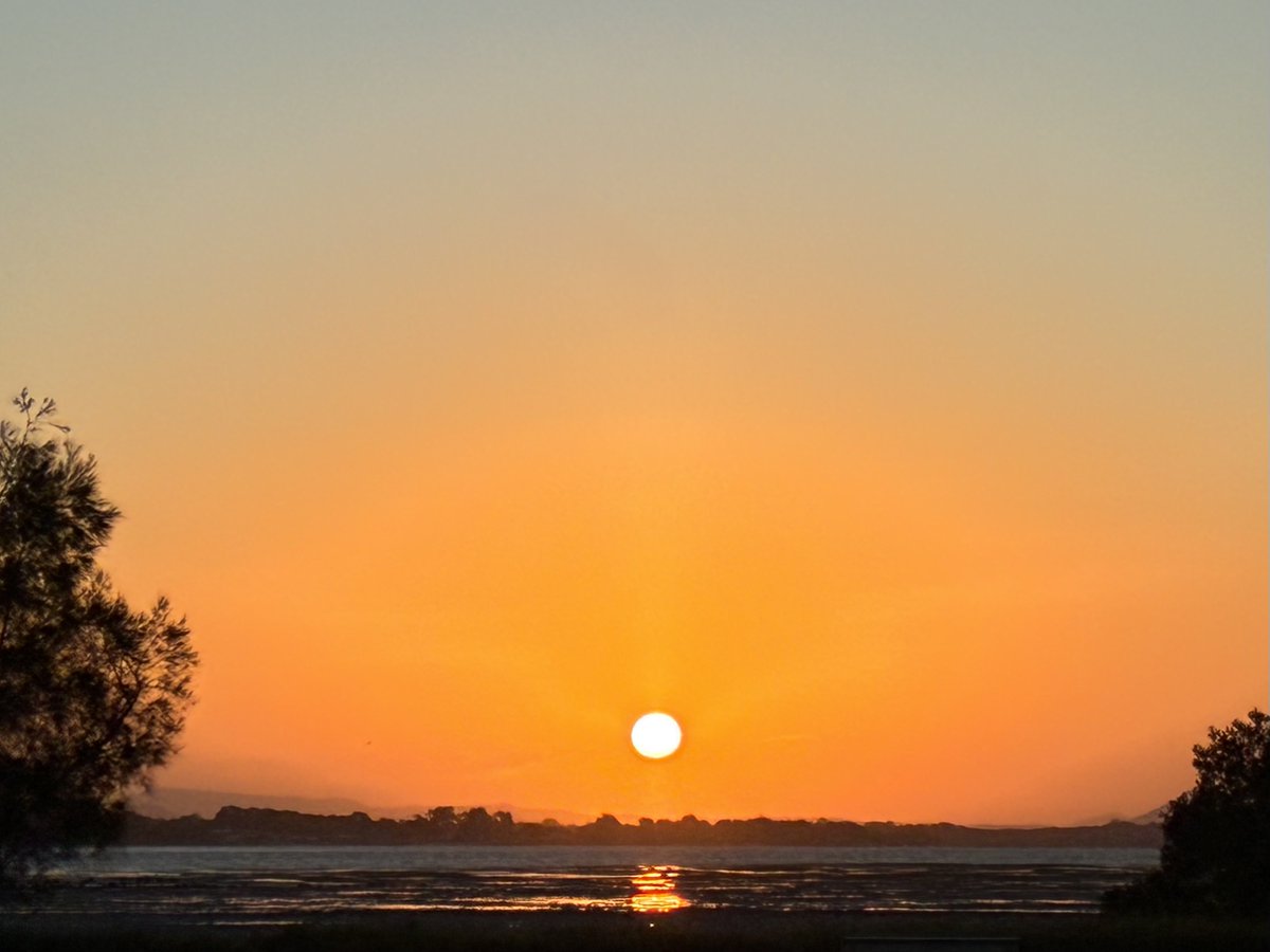 𝐇𝐏88 tweet media