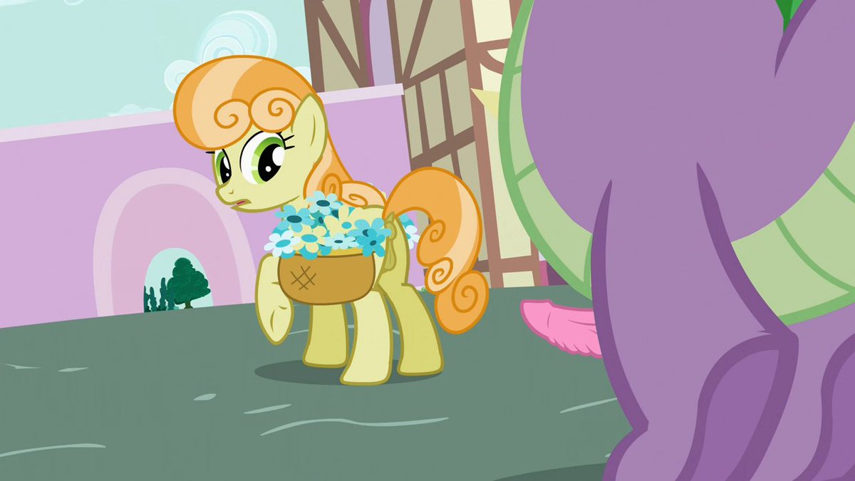 SPIKE 🐾 tweet media