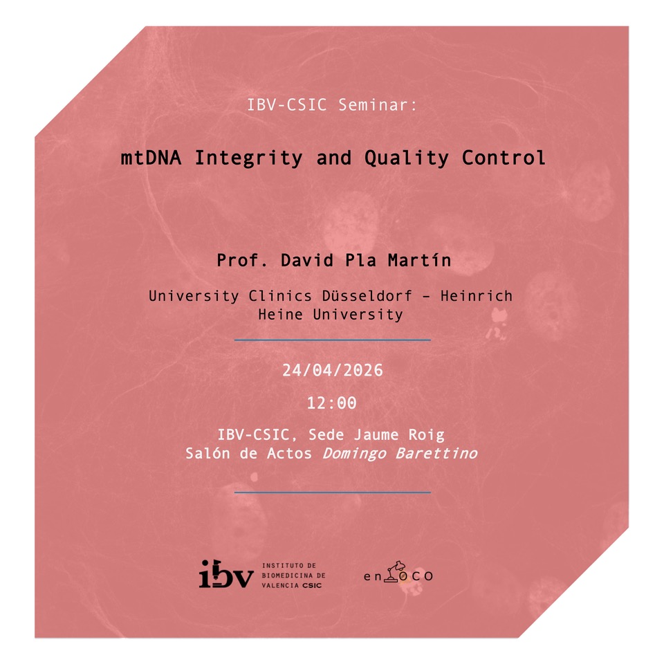 IBV-CSIC tweet media