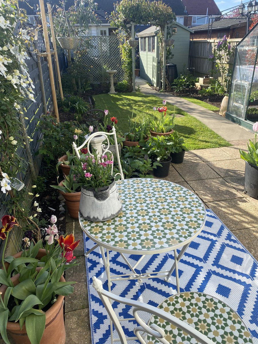 desclarkonline's tweet image. Morning all, it’s a lovely start to the week here in Essex, the tulips are gradually dropping their petals and the first of the dahlias are being introduced to the outside to harden off during the day.
Enjoy your Monday everyone 😊#Gardening #MyGarden