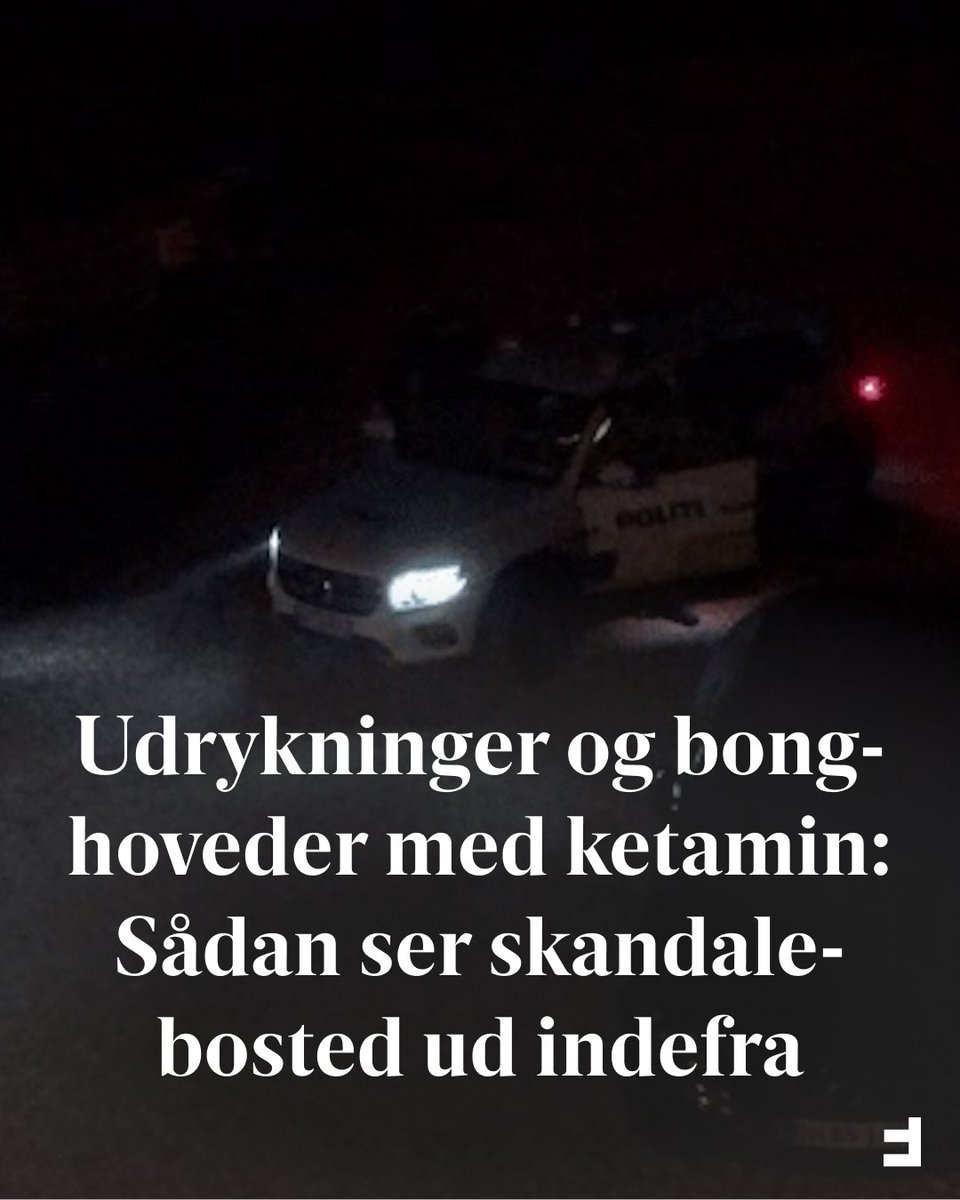 Frihedsbrevet tweet media