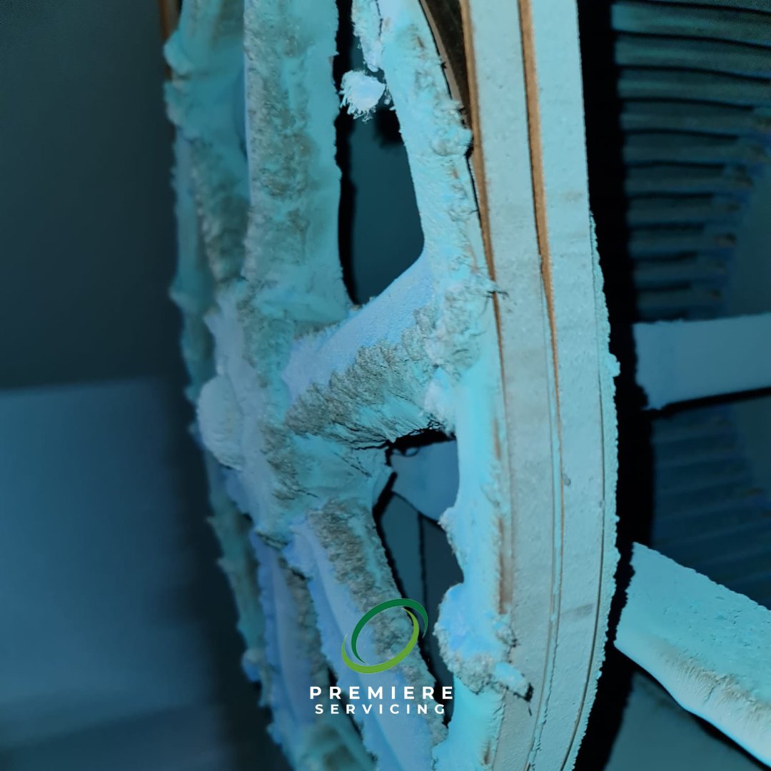 Premiere Servicing Ltd tweet media