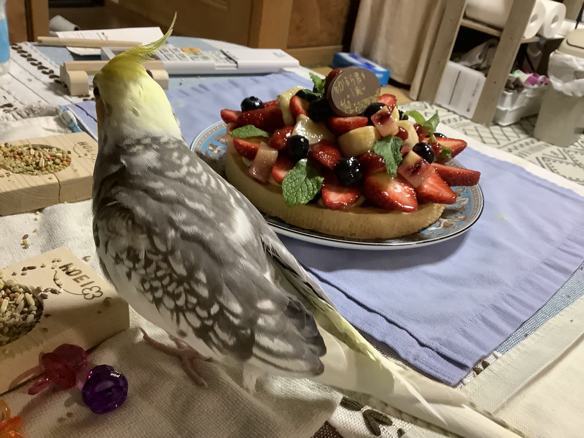 rikonanamama😊 tweet media