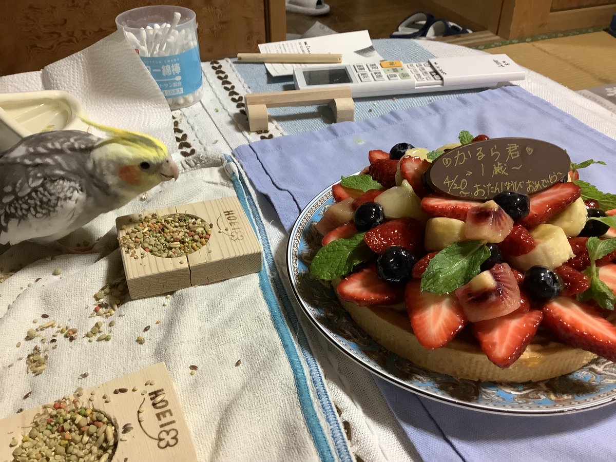 rikonanamama😊 tweet media